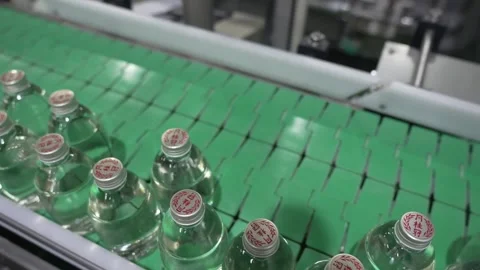 Filled Green Sake Bottles Moving Along the Conveyor Stock Footage 340010635