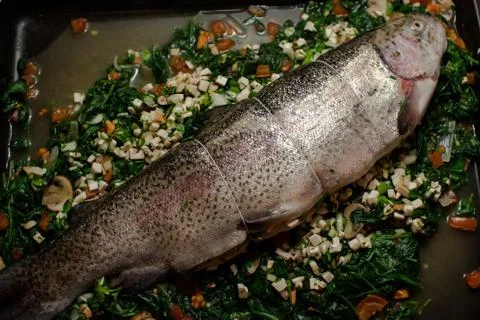 Filled rainbow trout Stock Photos