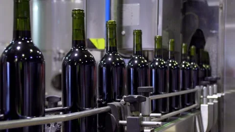 Filled red wine bottles on an automated coveyer belt in South Australia Stock Footage 131308618