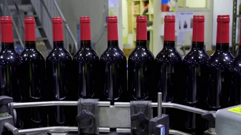 Filled red wine bottles on an automated coveyer belt in South Australia Stock Footage 131309603