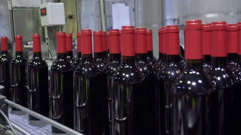 Filled red wine bottles on an automated coveyer belt in South Australia Stock Footage 131309738