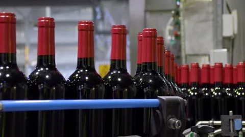 Filled red wine bottles on an automated coveyer belt in South Australia Stock Footage 131309916