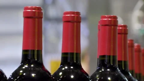 Filled red wine bottles on an automated coveyer belt in South Australia Stock Footage 131310057