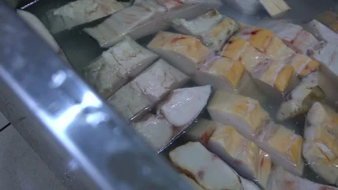 Fillet of fish Stock Footage 148465241