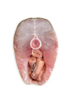 Fillet of fish Slide  with spawn Stock Photos