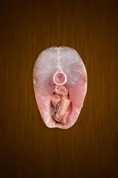 Fillet of fish Slide  with spawn Stock Photos