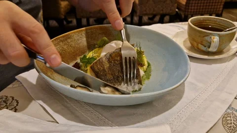 Fillet of white fish and mashed potatoes. Restaurant Stock Footage 245970354