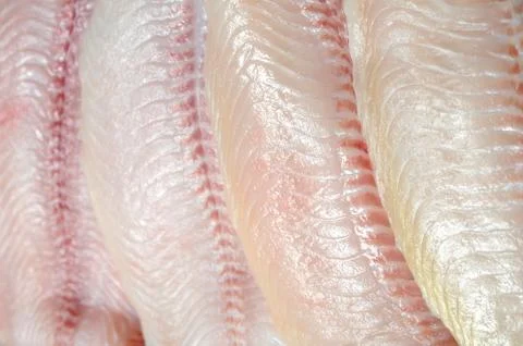 Filleted catfish Stock Photos