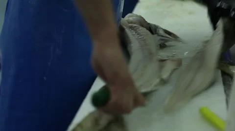 Filleting Fish Stock Footage 39832889