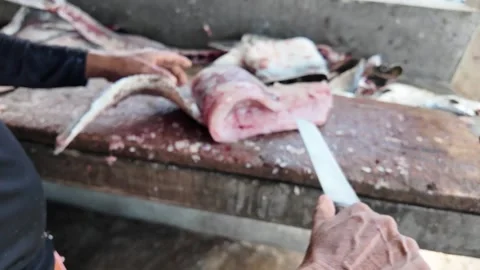 Filleting Fresh Barracuda Fish on Rustic Market Table Vídeo Stock 336697150