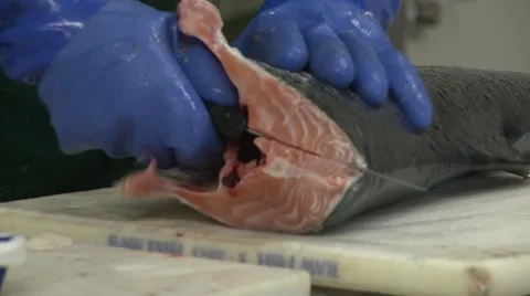 Filleting salmon Stock Footage 47325312