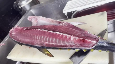 Filleting a young bluefin tuna, separating the fillet from the backbone Stock-Footage 339050354