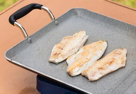 Fillets fish grilled 库存照片