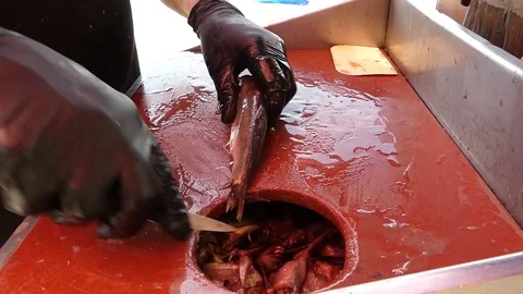 Fillets of herring 動画素材 111151575