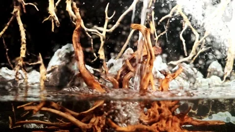 Filling the aquarium with water. Stock Footage 251211569