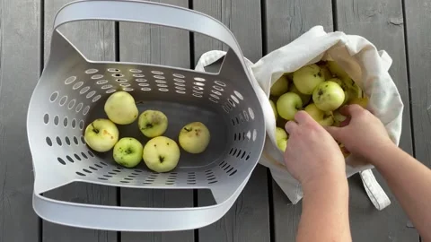 Filling Basket with Fresh Apples from Bag Vídeo Stock 343864876