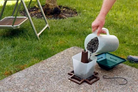 Filling a bird feeder Stock Photos