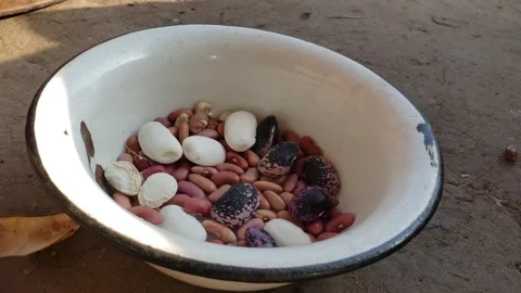Filling bowl of various large beans, removing from pod, with sound Stock Footage 270881179