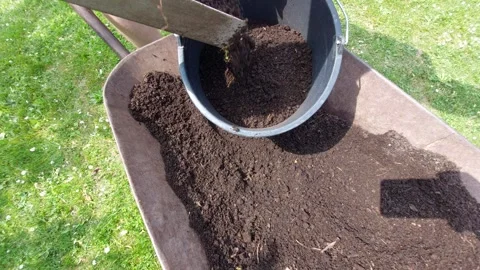 Filling a bucket with dark organic compost in a wheelbarrow Stock Footage 334838354