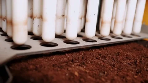 Filling of cartridges with a substrate for saplings, Cartridges of forages vit Stock Footage 178906760