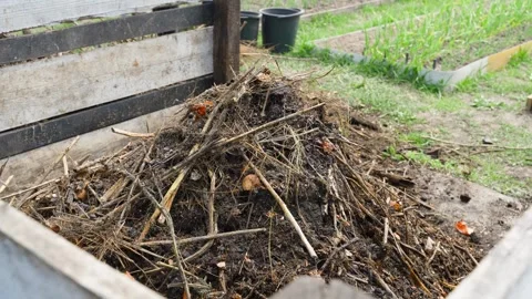 Filling compost with dry leaves and organic waste in slow motion Vídeos de archivo 337309454