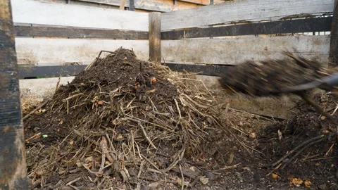 Filling compost pile to make homemade organic humus in garden Video stock 342941338