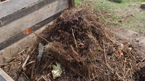 Filling compost pile with organic material for vermicompost production Stock Footage 341078927