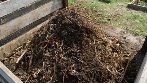 Filling a compost pile with organic material for making vermicompost. Close-up Stock Footage 342912989
