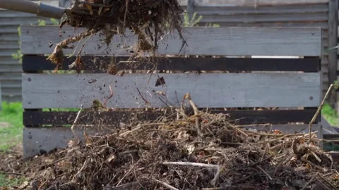 Filling compost pile with organic matter. Tossing dry plant remains into compost Vídeos de archivo 337544640
