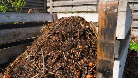 Filling compost pile with organic matter. Tossing dry plant remains into compost Video stock 337544671