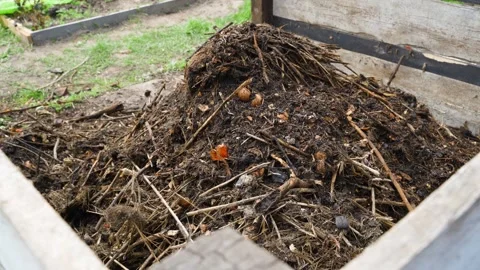Filling compost pile with organic matter. Tossing dry plant remains into compost Stock Footage 337544723
