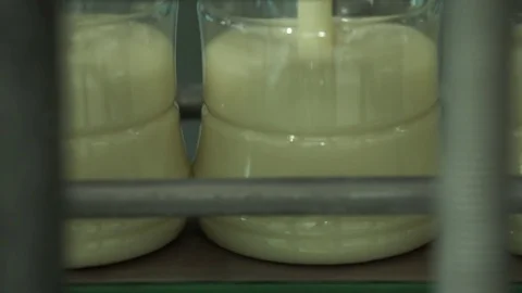 The filling of condensed milk in bottles Vídeos de archivo 73835136