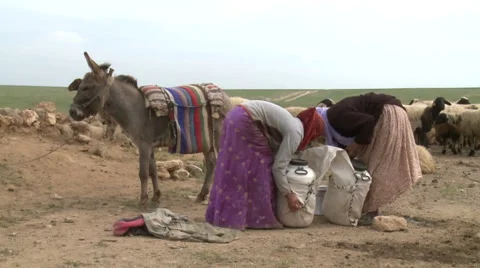 Filling The Donkey Saddle Stock Footage 46045861