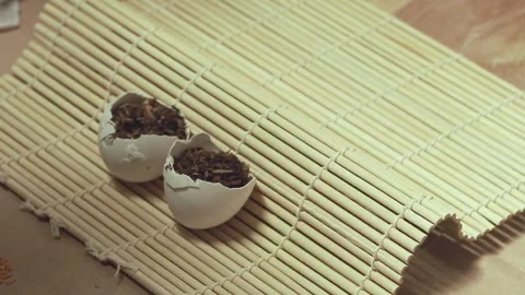 Filling eggshells with soil mix to be use as a seed starter container that Stock Footage 310763695