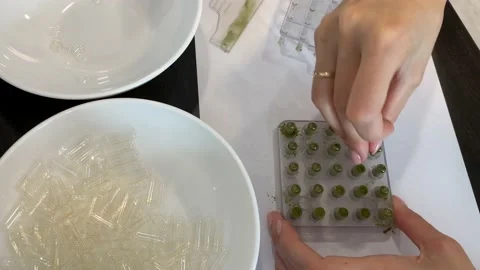 Filling the empty capsules in the capsulizer PART 4. Closing the capsules. Stock Footage 201308258