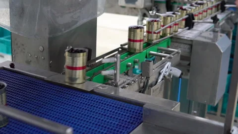 Filling fresh cherries in cans in a processing plant, fa01 Stock Footage 293197572