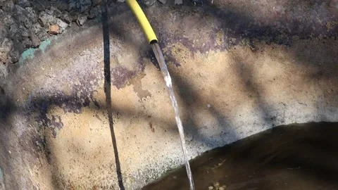 Filling a garden pond with water using a hose. Stock Footage 186624875