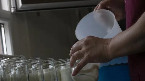 Filling of glass jars in the process of crafting yogurt with goat's milk Stock Photos