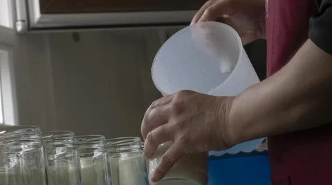 Filling of glass jars in the process of crafting yogurt with goat's milk Foto stock
