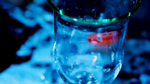 Filling a Glass With Water Stock Footage 40031043