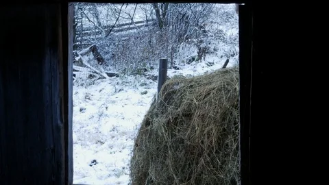 Filling the hayloft 動画素材 86194961