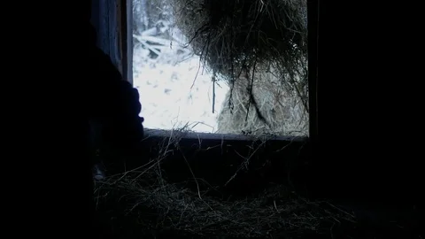 Filling the hayloft 動画素材 86199607