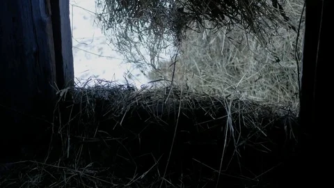 Filling the hayloft 動画素材 86200777