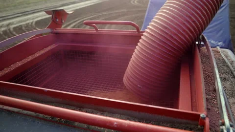 Filling High-Tech Air Seeder Tank with Wheat Grain Stock Footage 305167092
