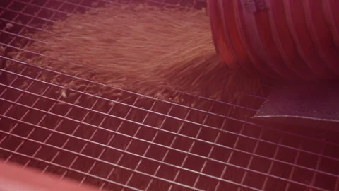 Filling High-Tech Air Seeder Tank with Wheat Grain Stock Footage 305167276