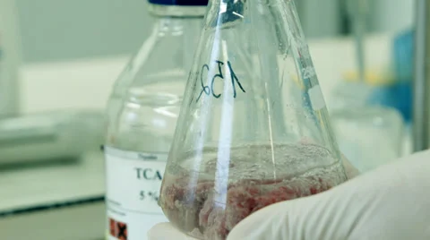 Filling liquid to colb with meat Vidéo 37344757