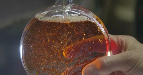 Filling up a Maple Syrup Glass Bottle Stock Footage 106764600