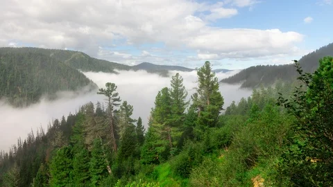 Filling mist of a mountain valley. Time lapse Stock Footage 121697902