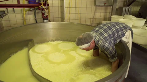 Filling molds with Cheese Curd Stock Footage 36192825