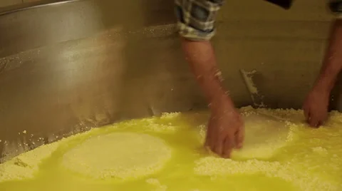 Filling molds with cheese curd Stock Footage 36195293
